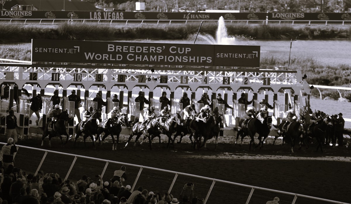 Bet the Breeders' Cup Iron Bets