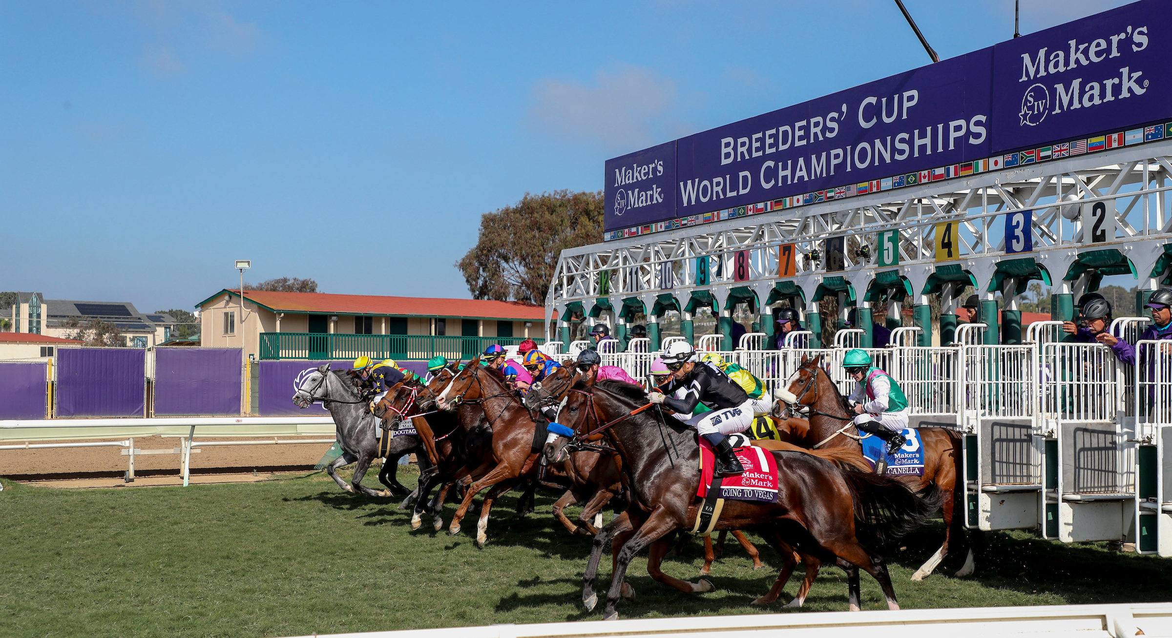 Breeders' Cup Saturday