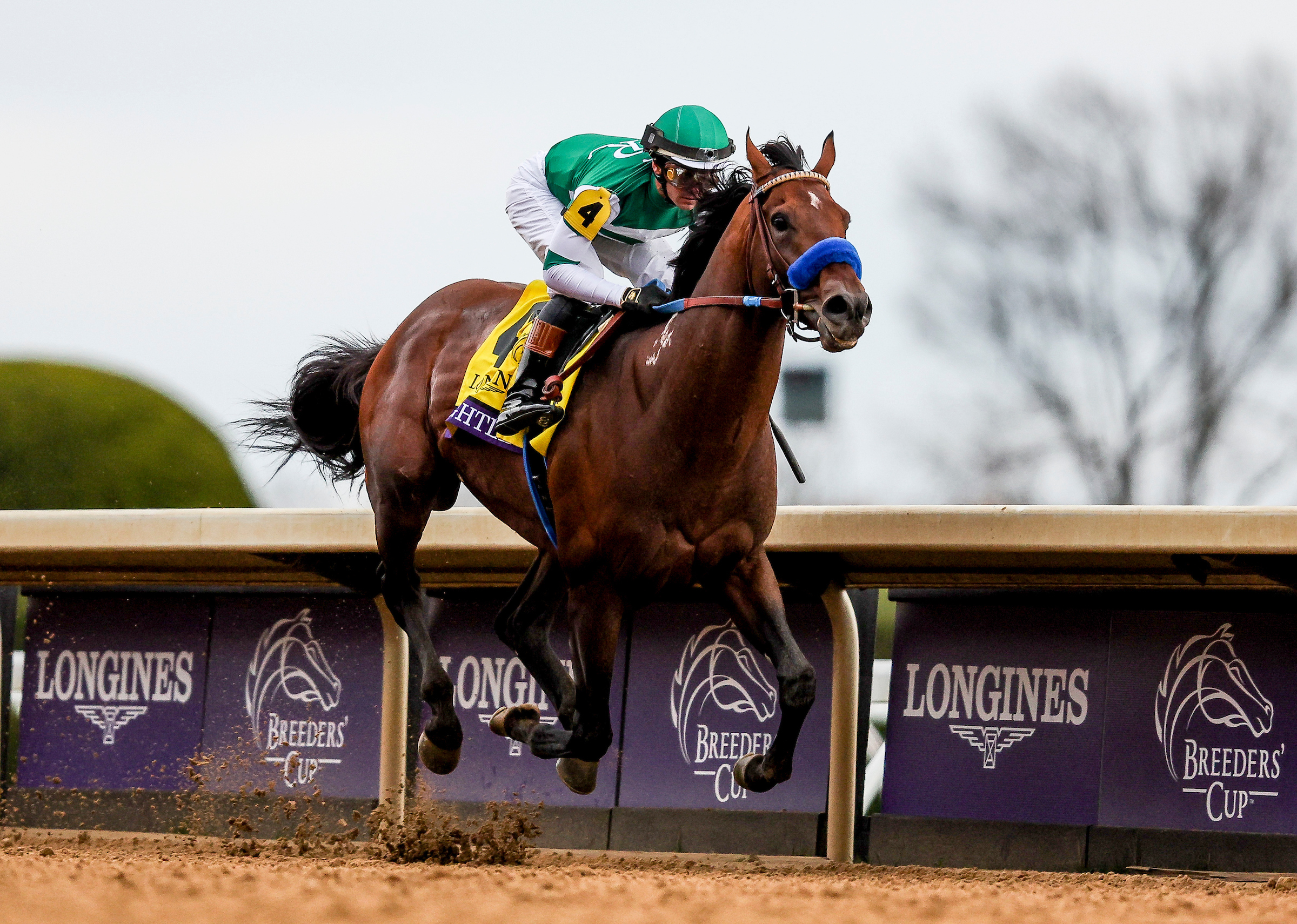 2024 Breeders' Cup Classic Betting Trends