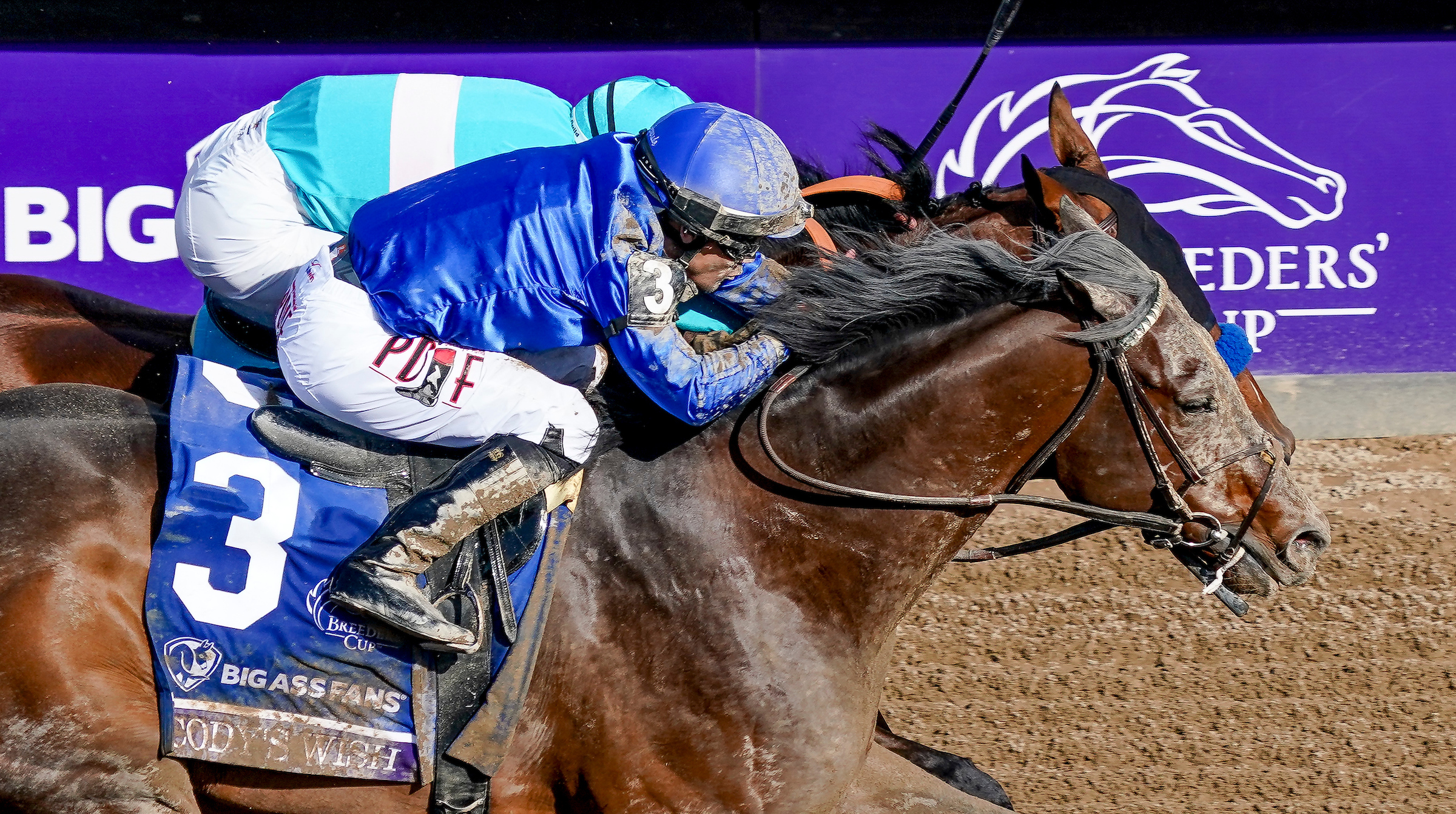 2024 Breeders' Cup Dirt Mile Betting Trends