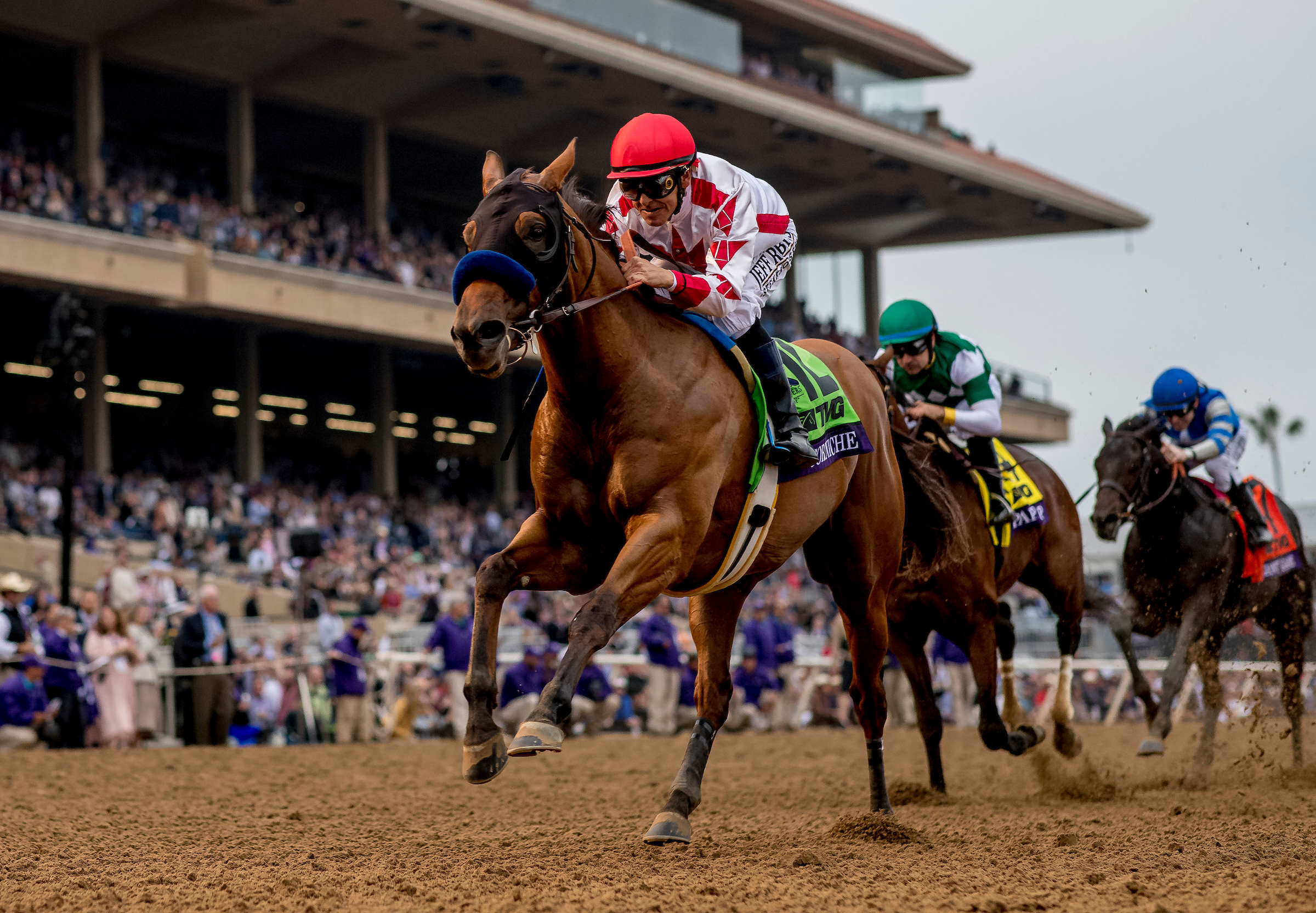 2024 Breeders' Cup Juvenile Betting trends