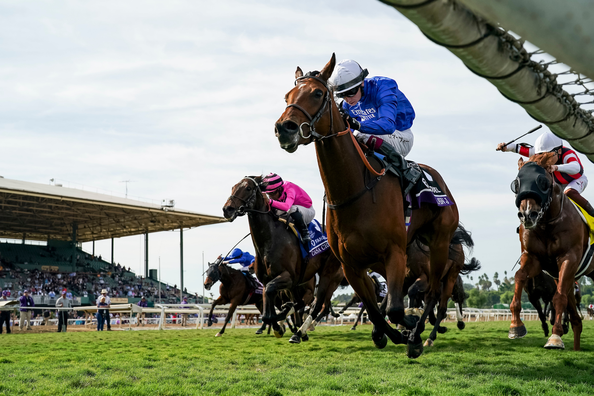 2024 Breeders' Cup Mile Betting Trends