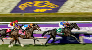 2024 Breeders' Cup Turf Betting Trends