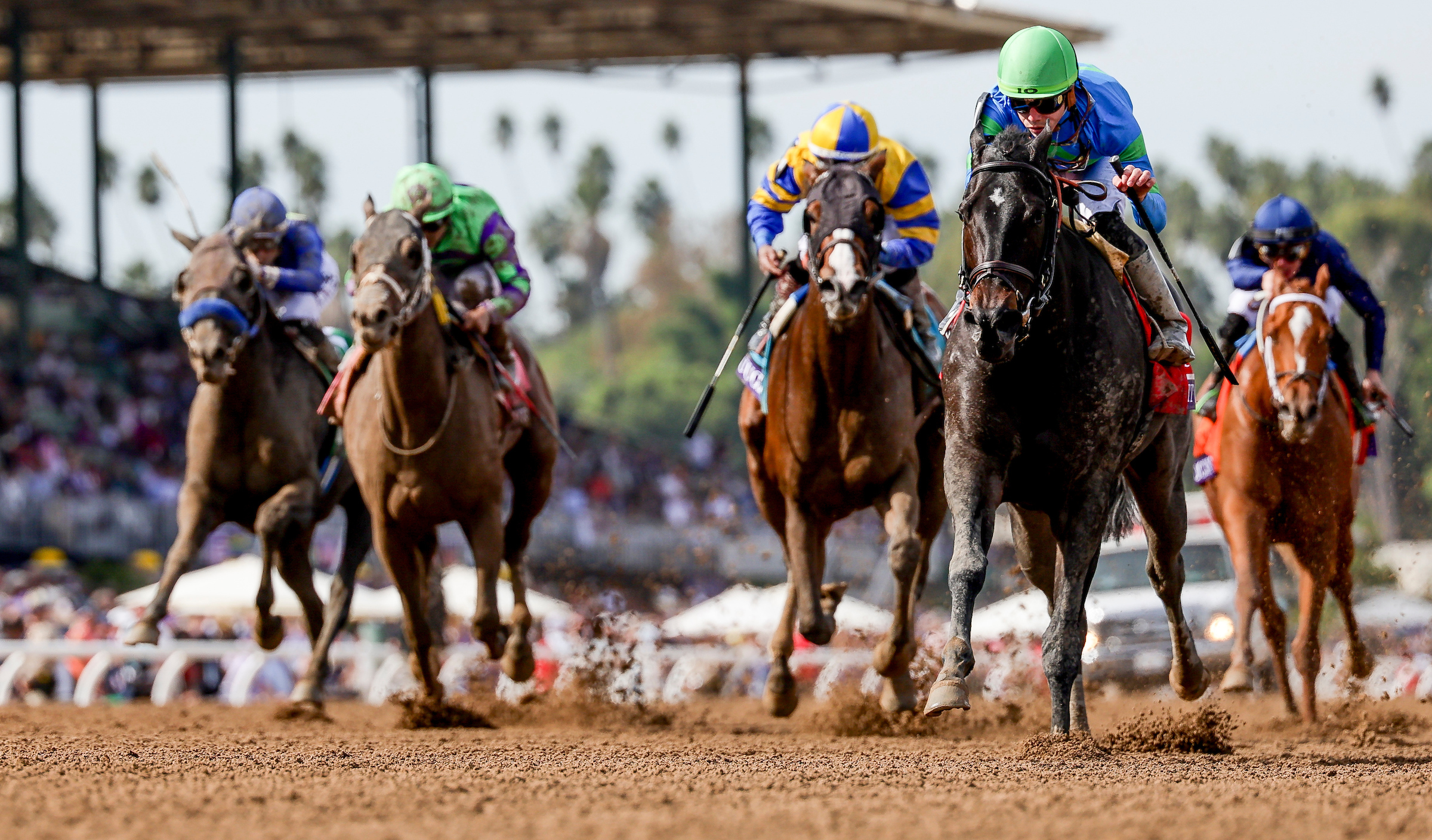 2024 Breeders' Cup Filly & Mare Sprint Betting Trends