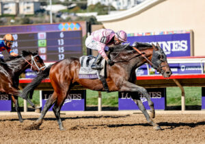 2024 Breeders' Cup Saturday Recap