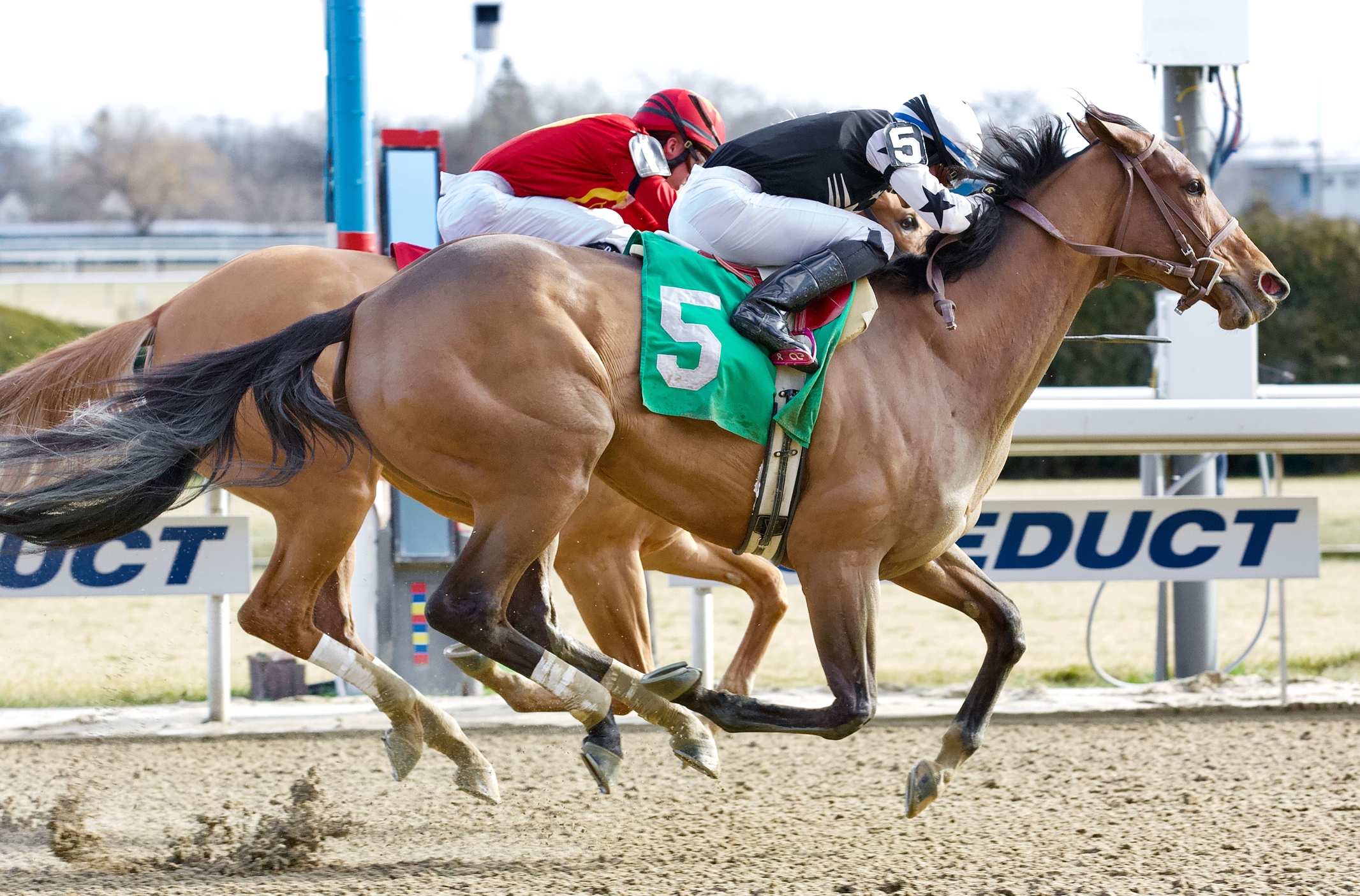 Aqueduct New Tracks