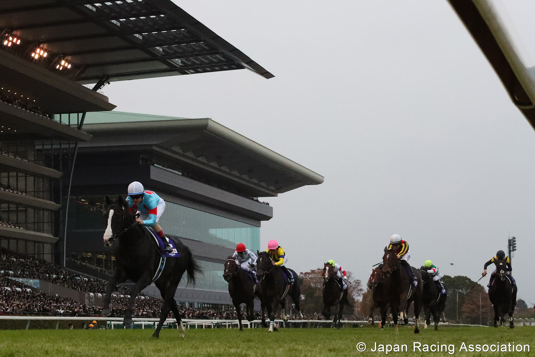 Japan Cup