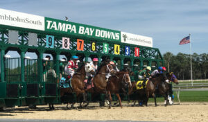 Tampa Bay Downs