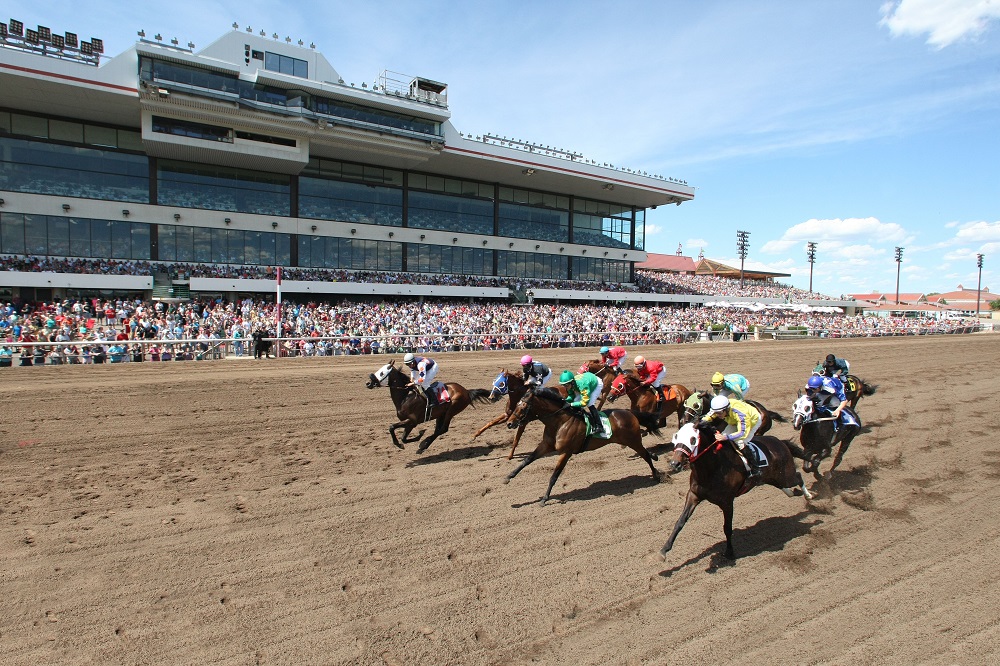 Canterbury Park Horse Racing Betting | Wagers, Schedules & More