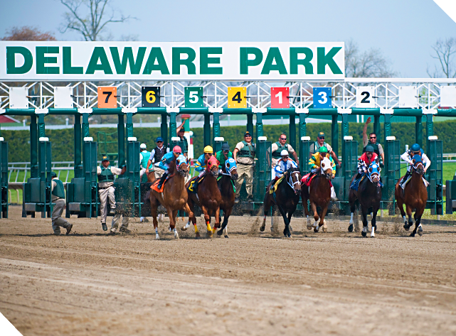 Delaware Park Horse Racing Betting | Wagers, Schedules & More