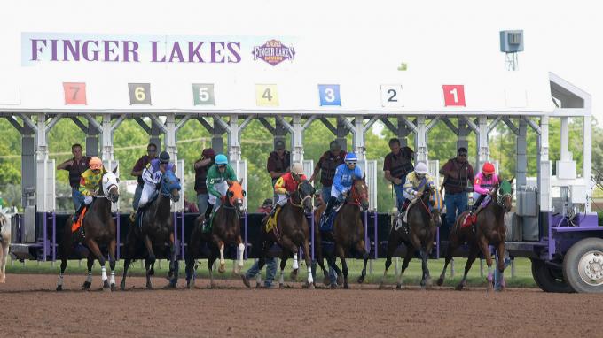 Finger Lakes Horse Racing Betting | Wagers, Schedules & More