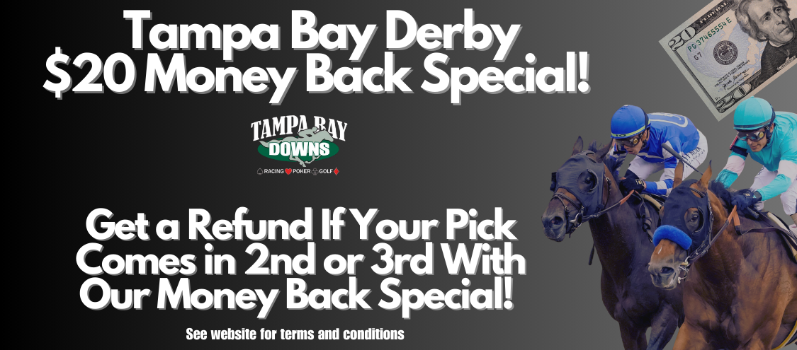 Tampa Money Back