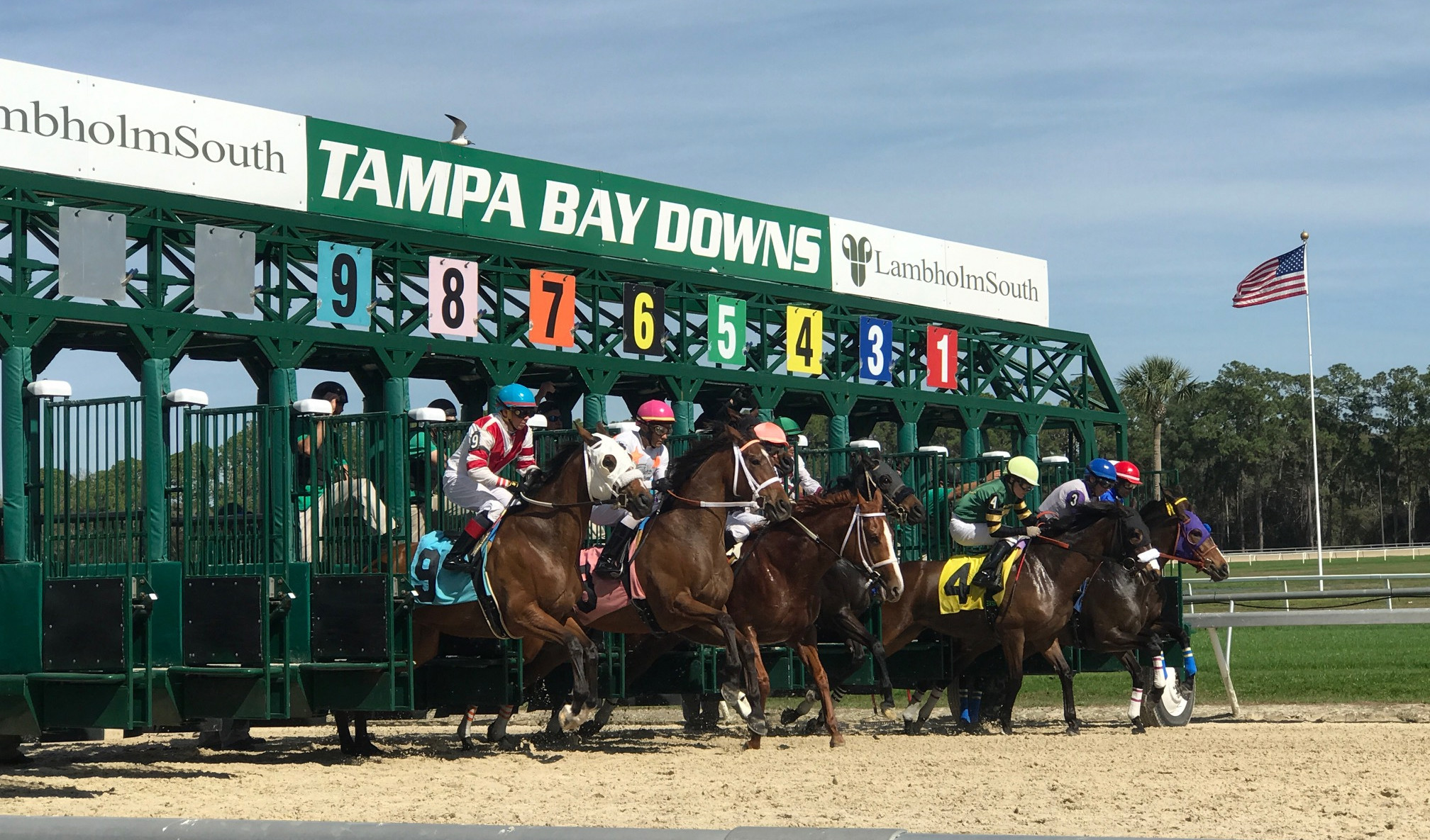 Tampa Bay Derby