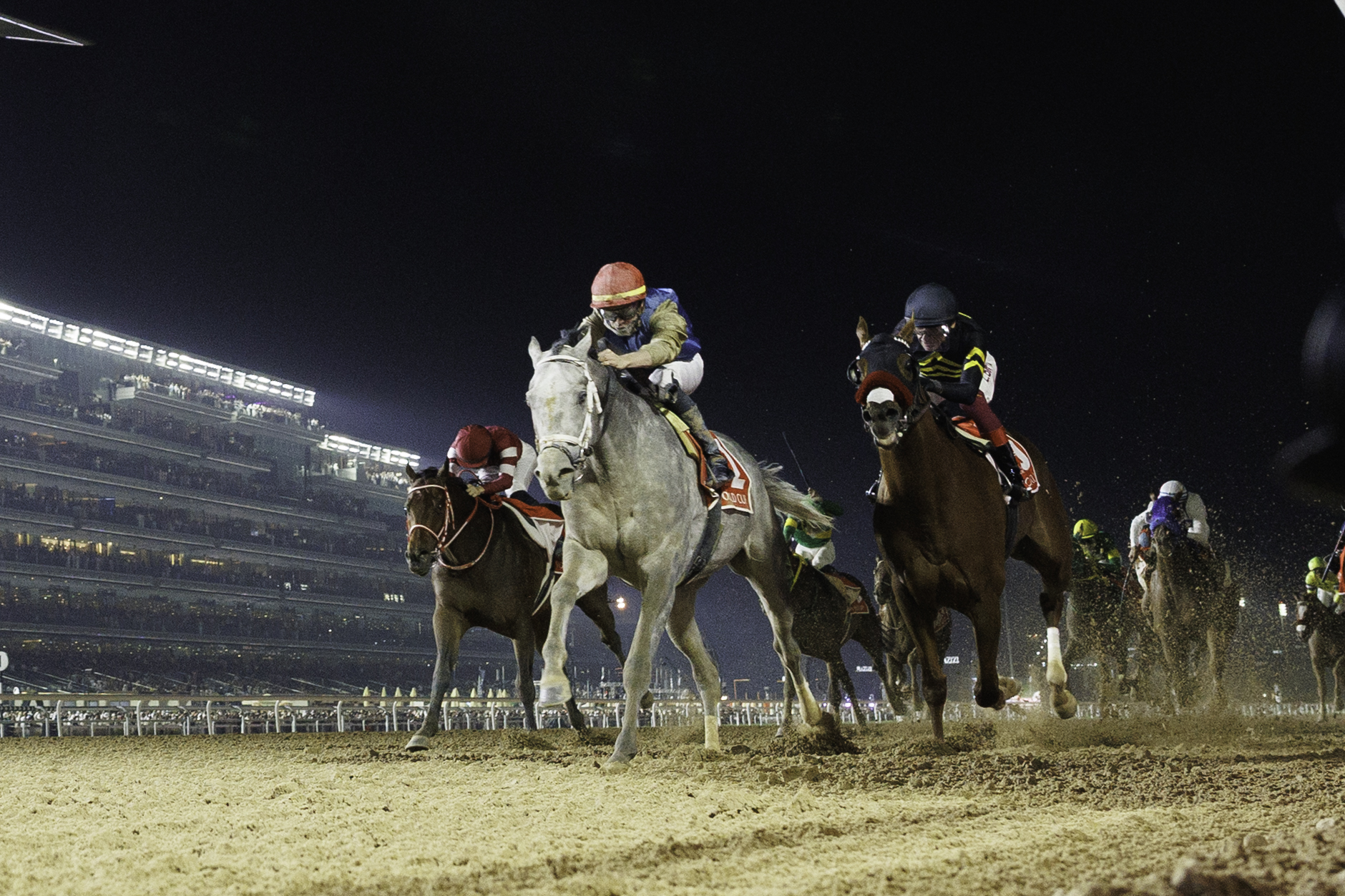 2025 Dubai World Cup