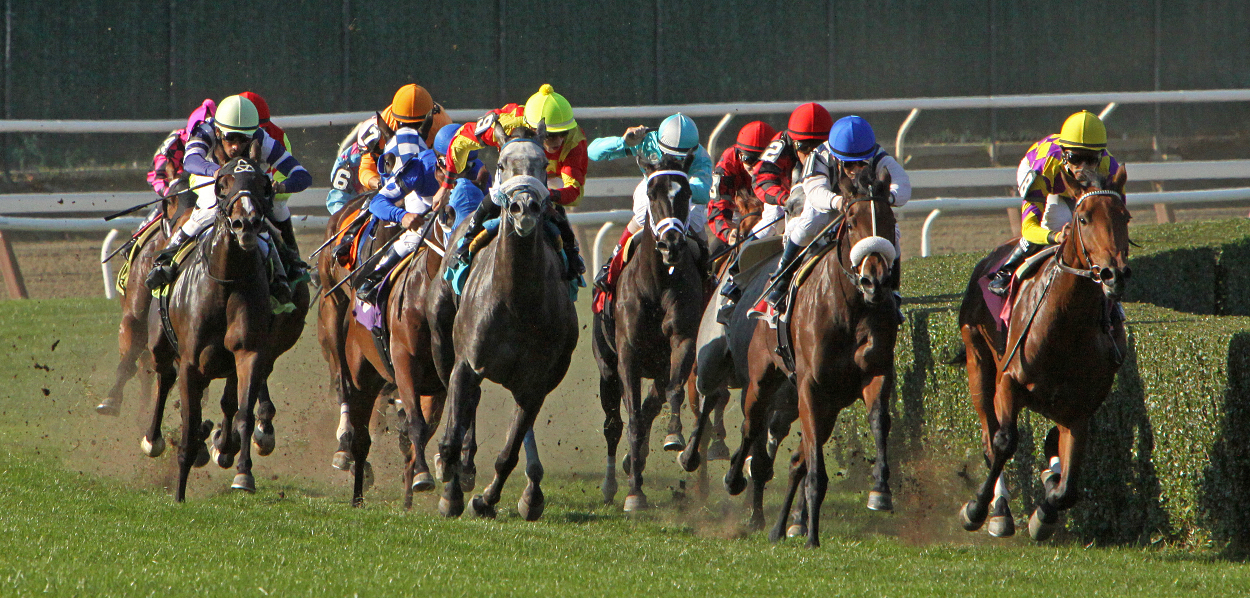 Belmont at the Big A