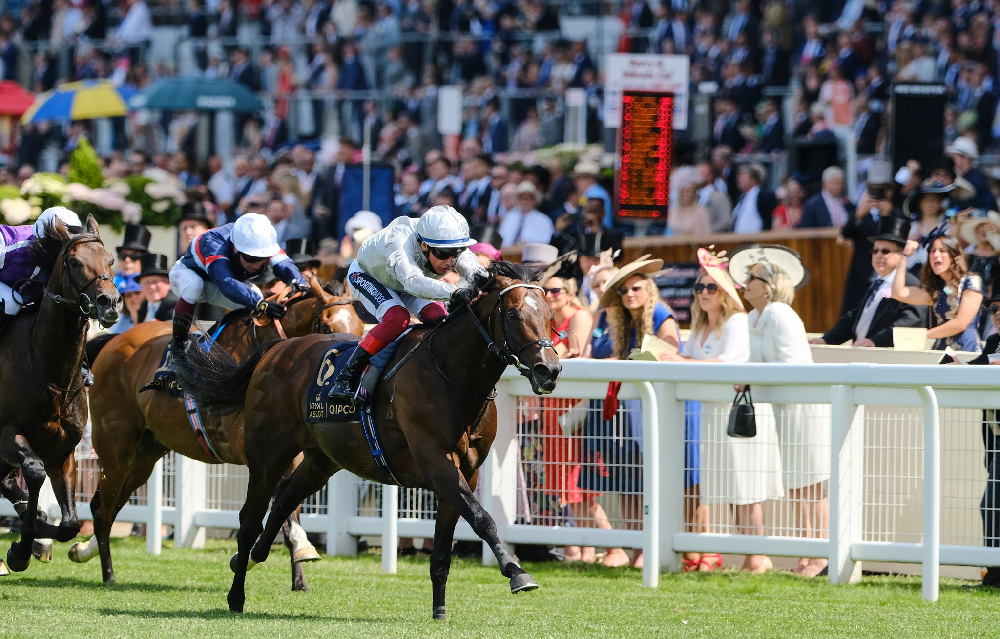 Ascot Trials Day
