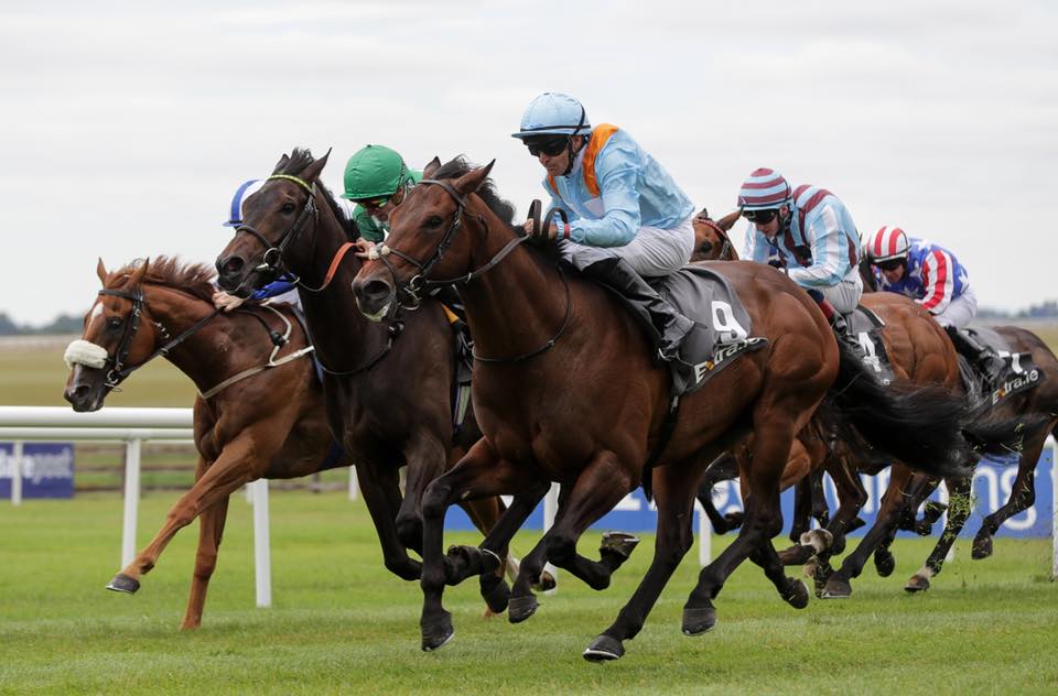 Irish 2,000 Guineas