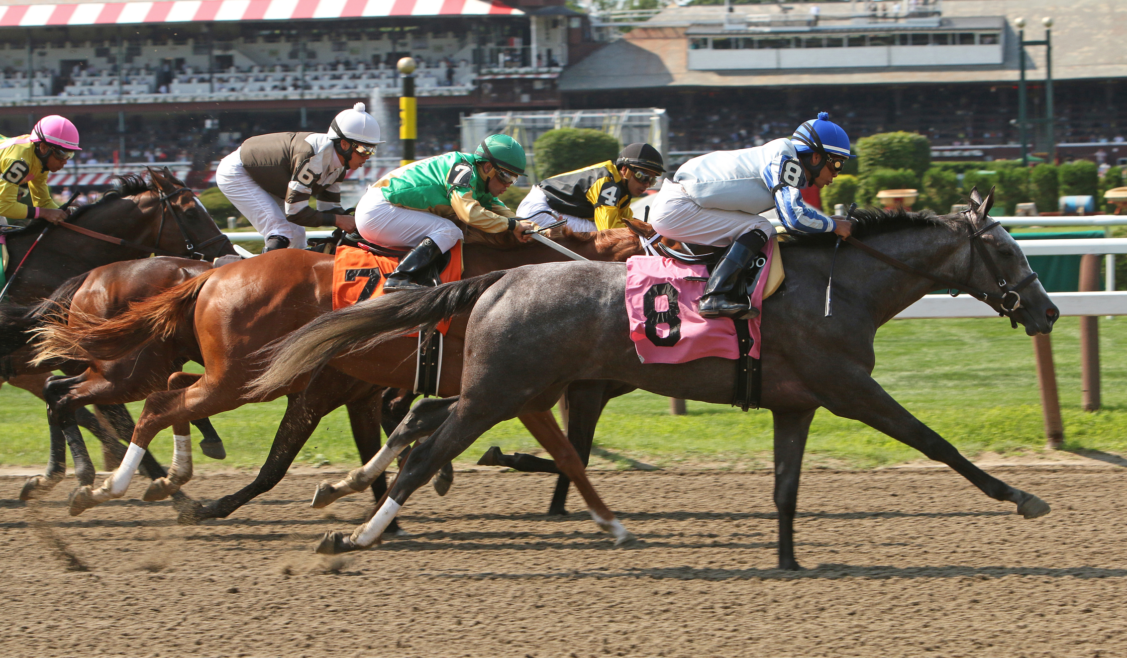 Saratoga Friday