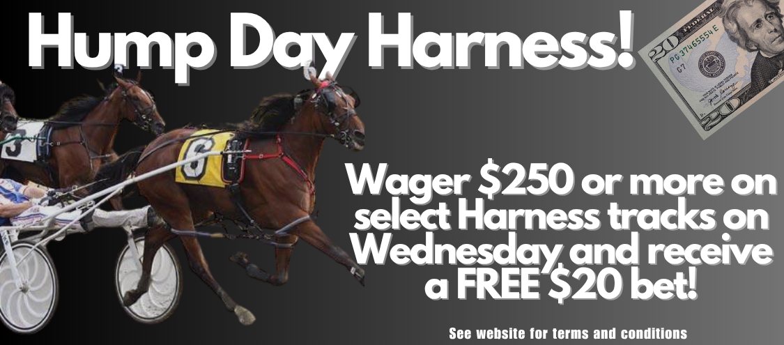 Hump Day harness Newest