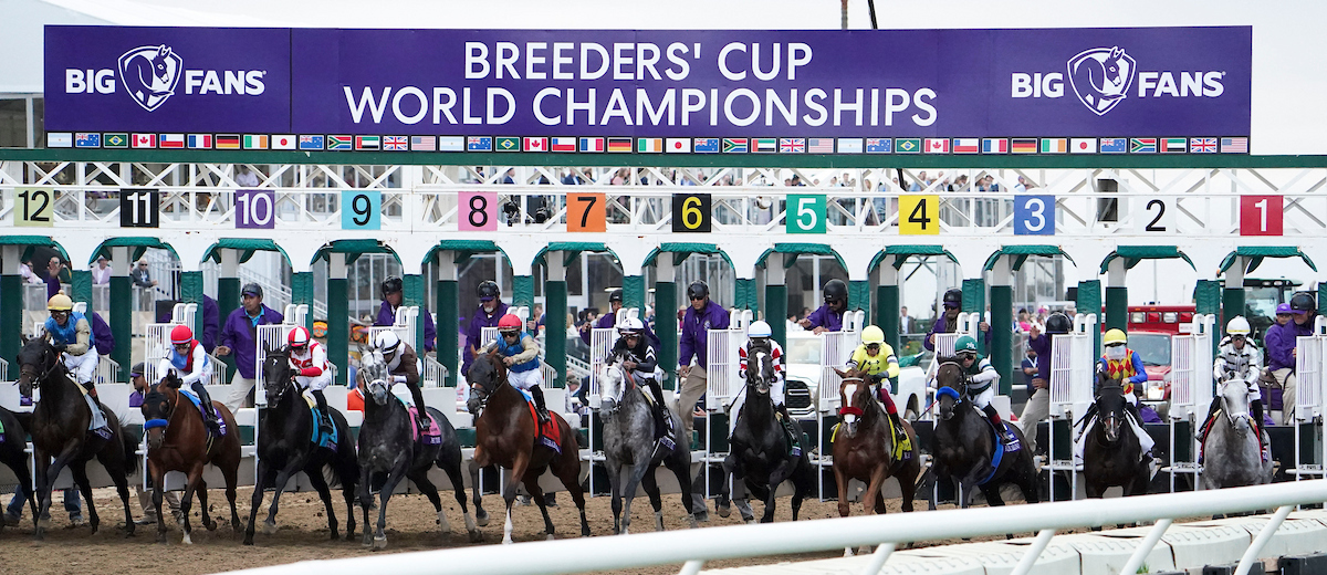 Breeders' Cup 2025 Undercard