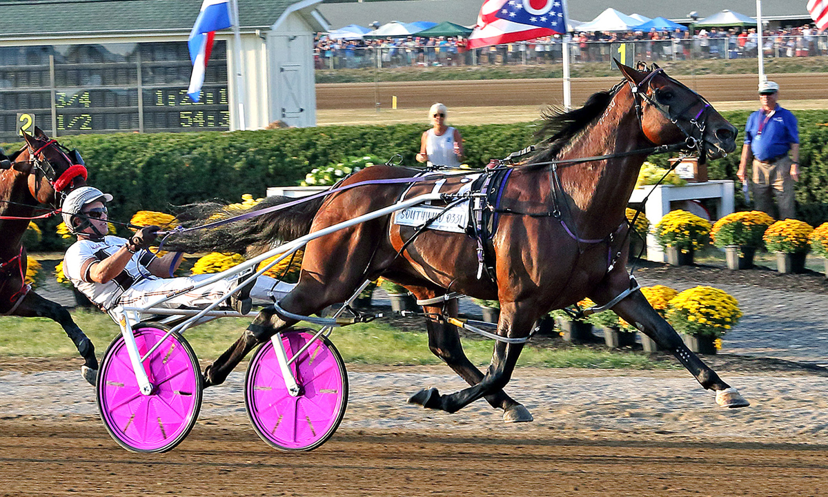 The Little Brown Jug