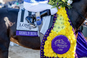 Breeders' Cup Selections