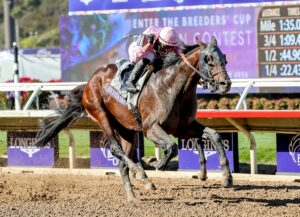 Breeders' Cup Saturday by the Numbers