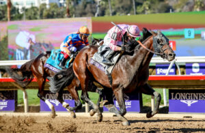 Claims Betting Trends