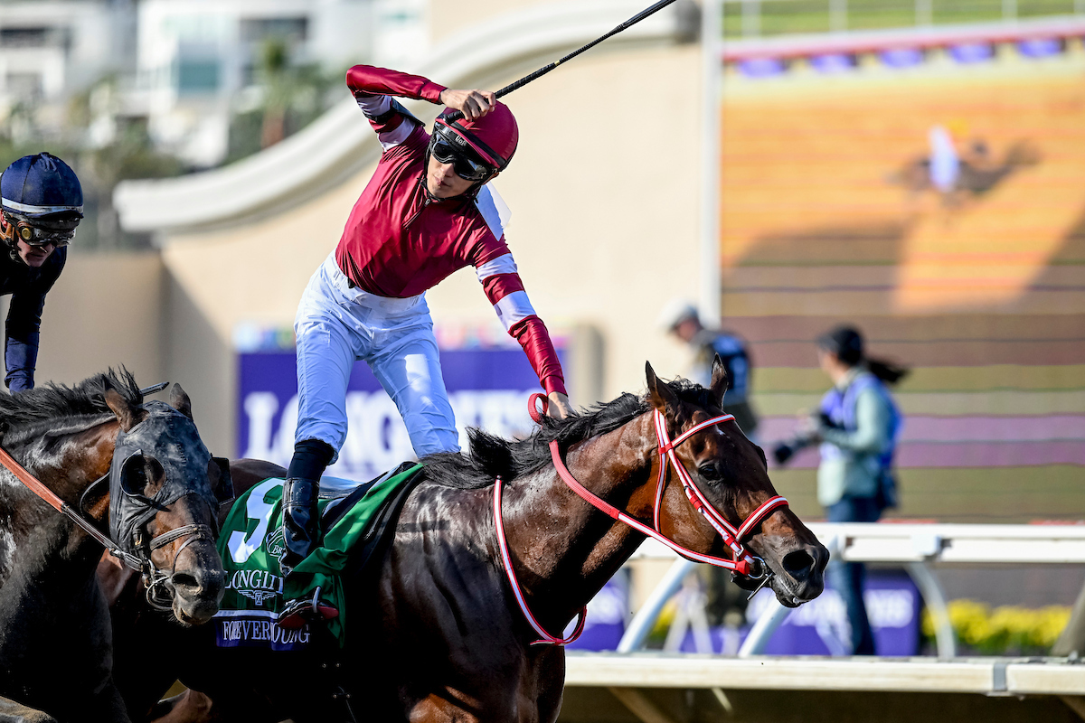 Breeders Cup Saturday Forever Young