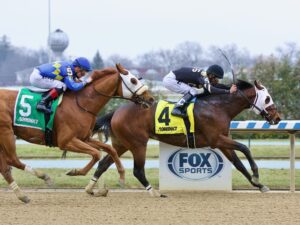 Aqueduct Winter Meet