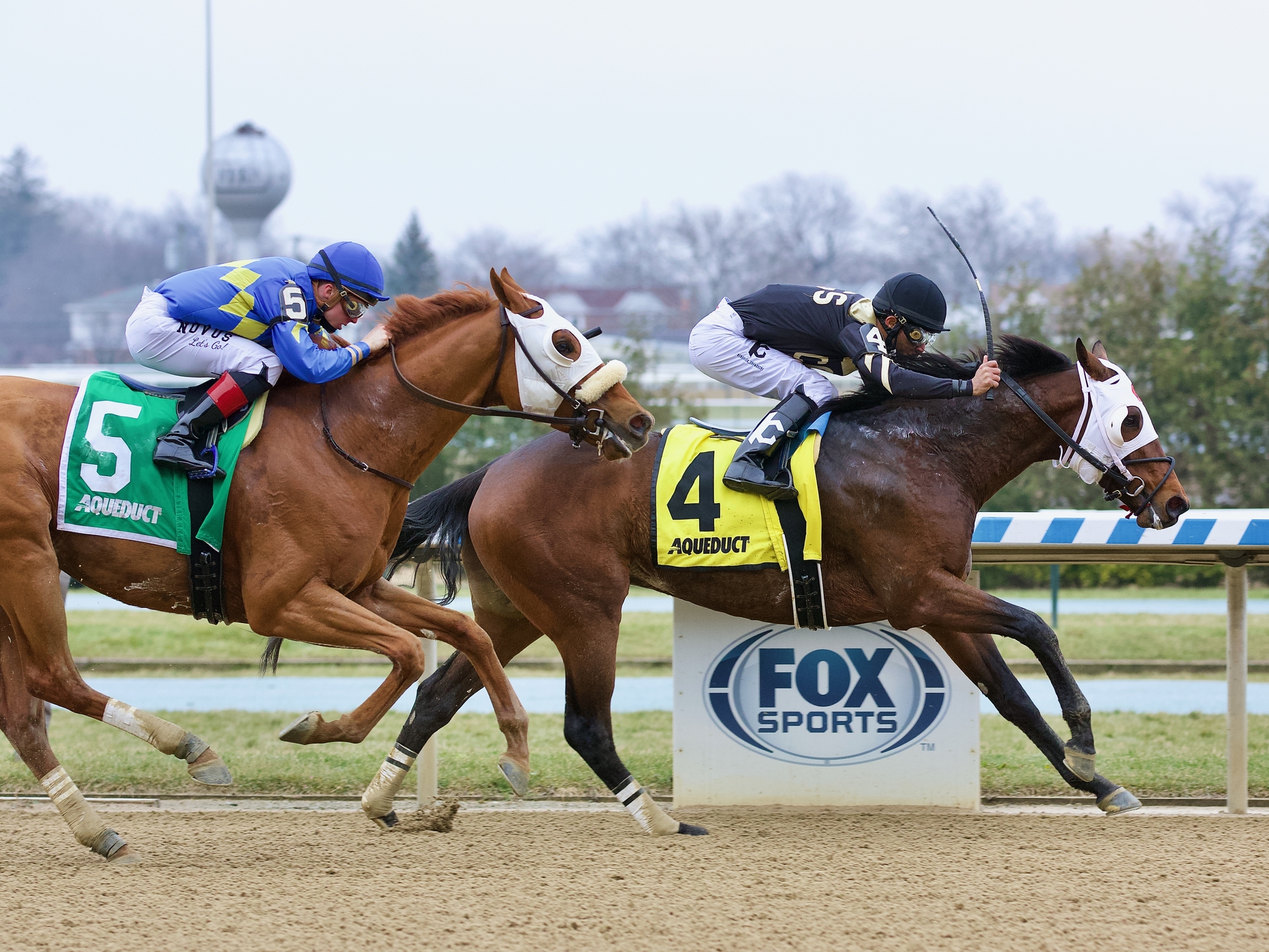 Aqueduct Winter Meet