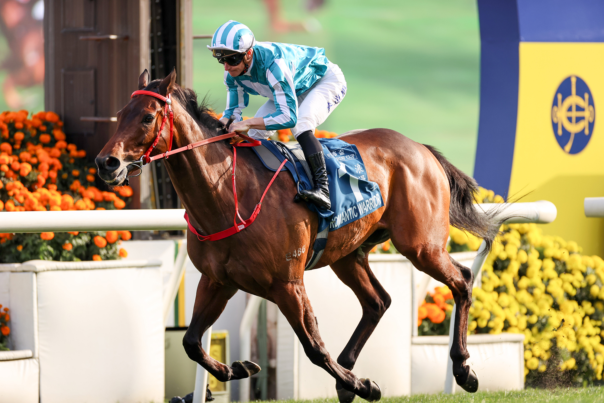 Romantic Warrior Stewards Cup