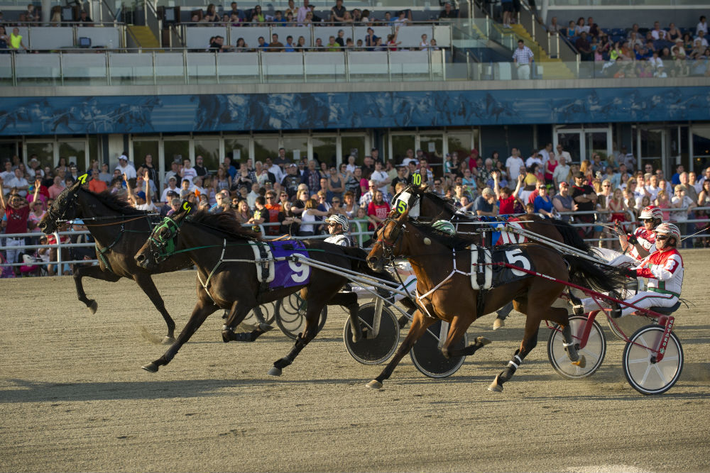 Woodbine Mohawk 2026