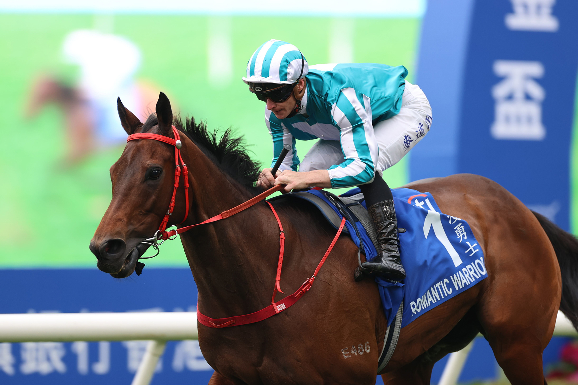 Romantic Warrior Gold Cup