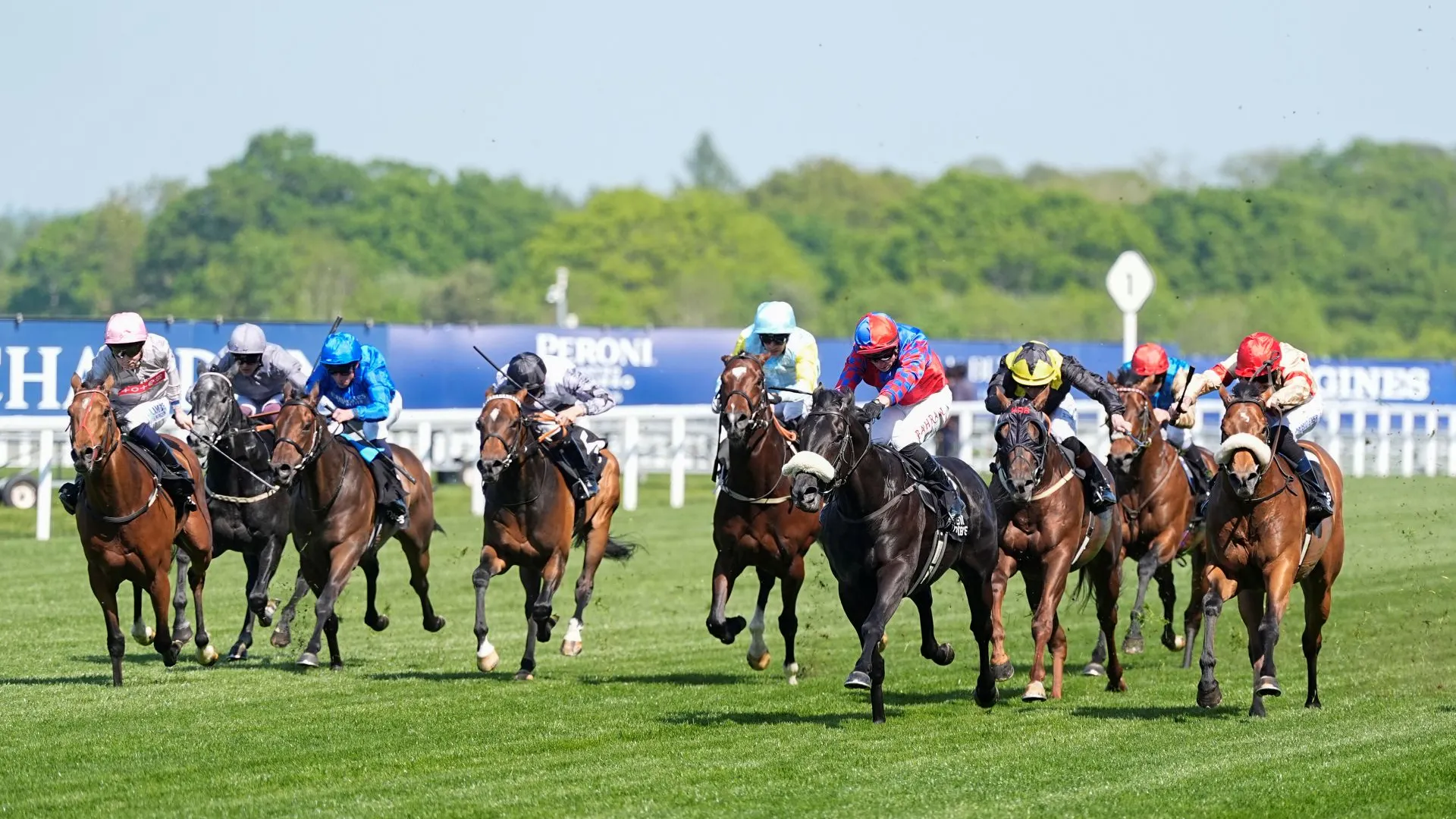 Ascot Trials Day