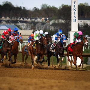 Preakness Preview Day