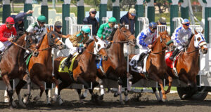 Hollywood Gold Cup