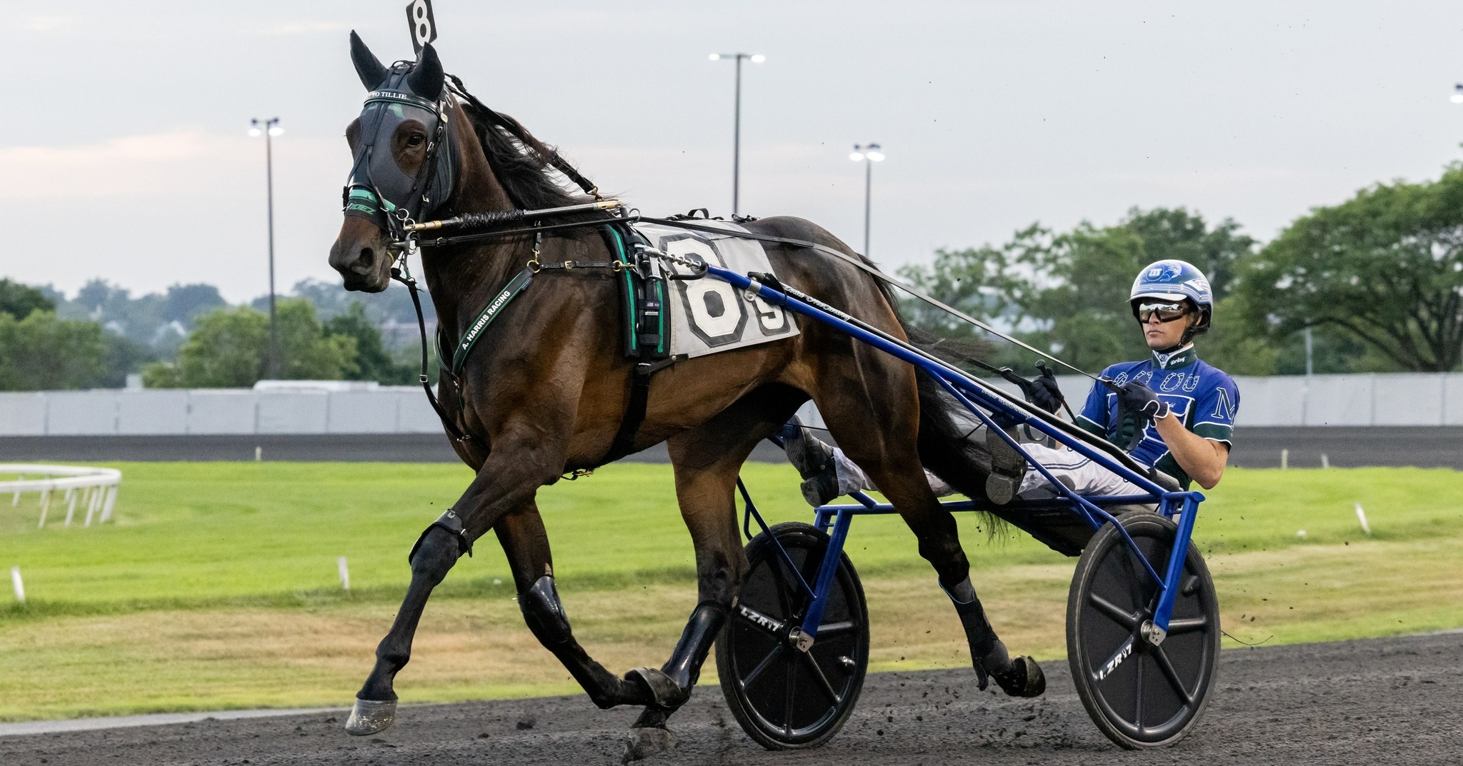 Meadowlands