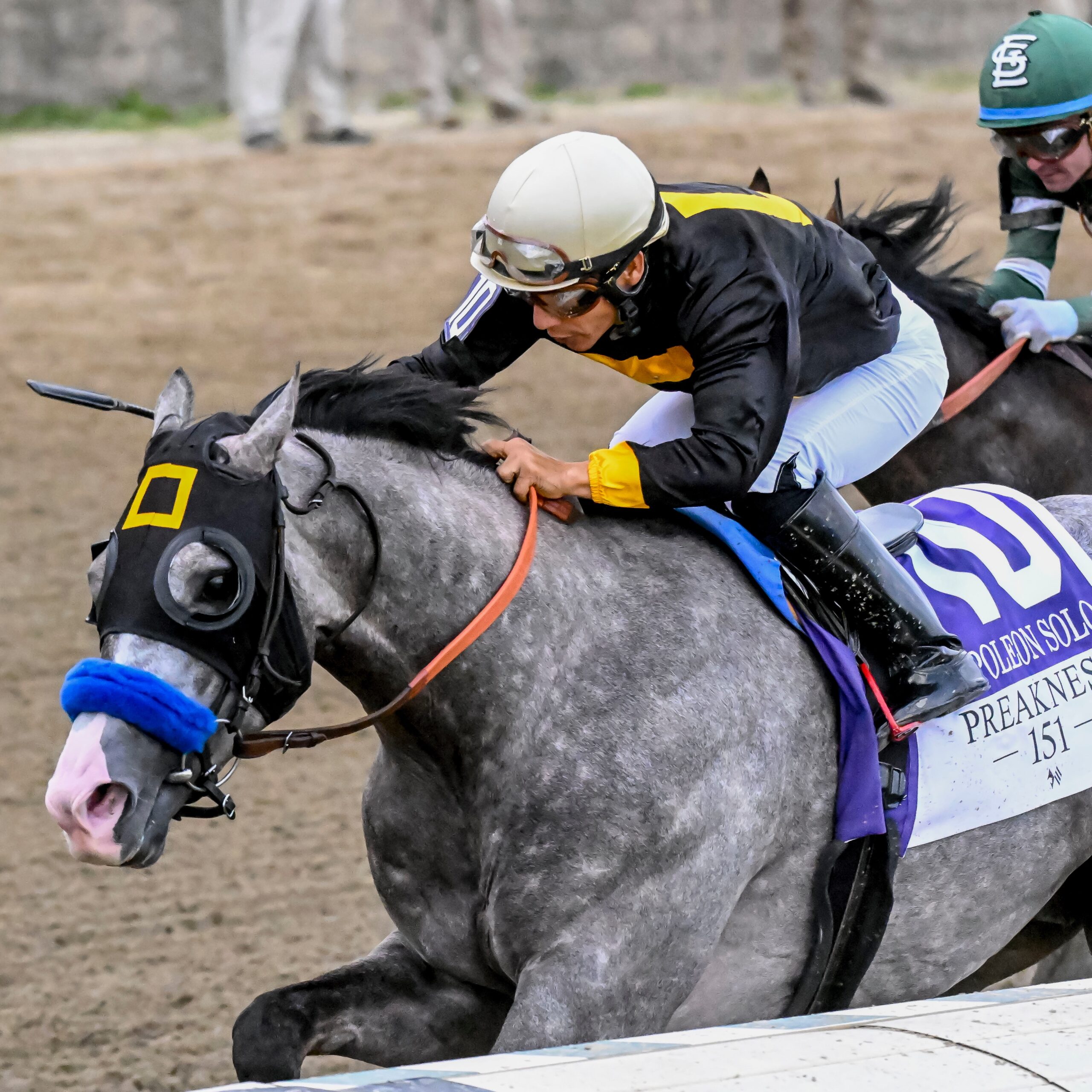 Preakness Napoleon Solo