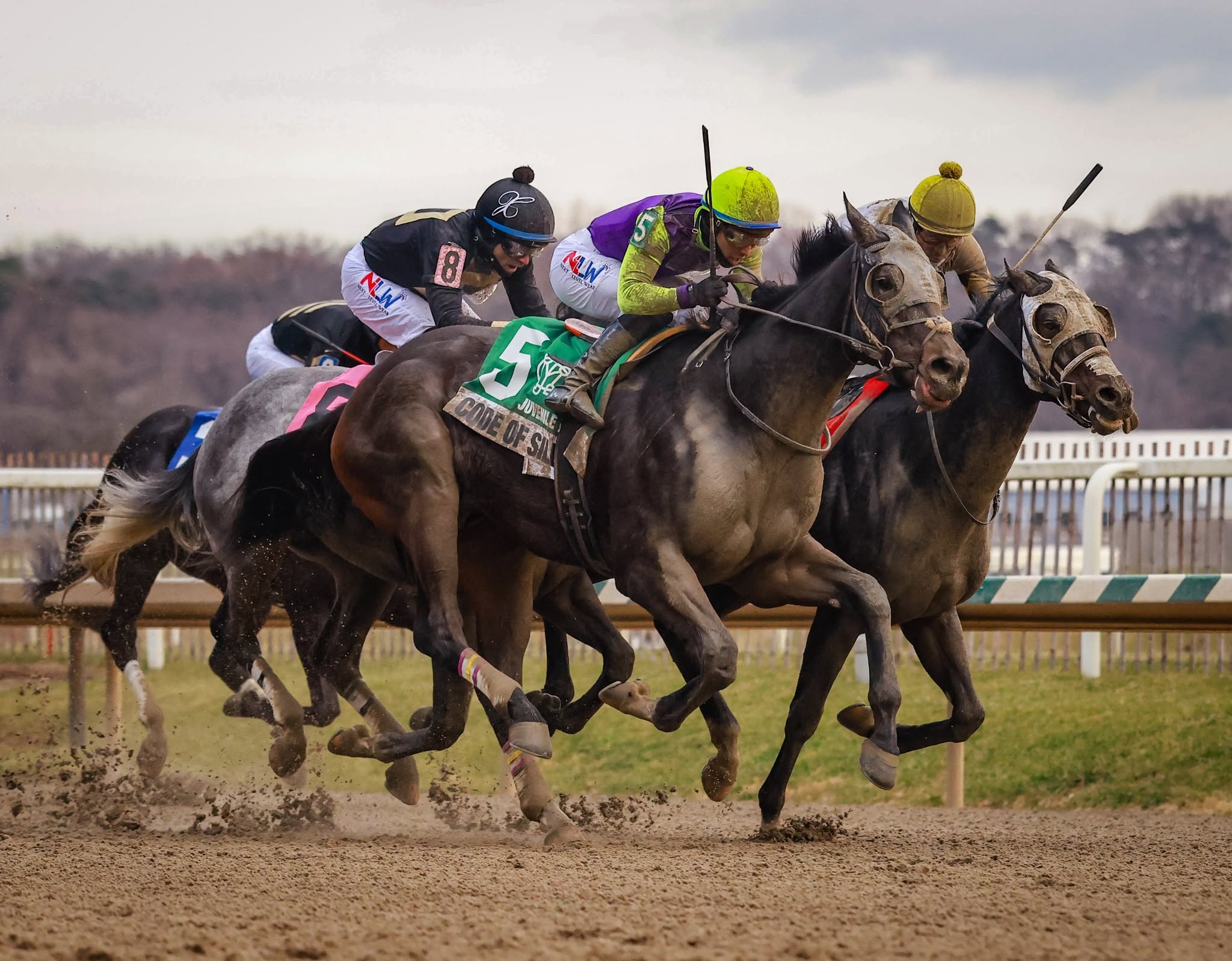 Laurel Park De Francis Dash