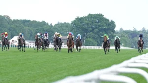 Royal Ascot Closing Day