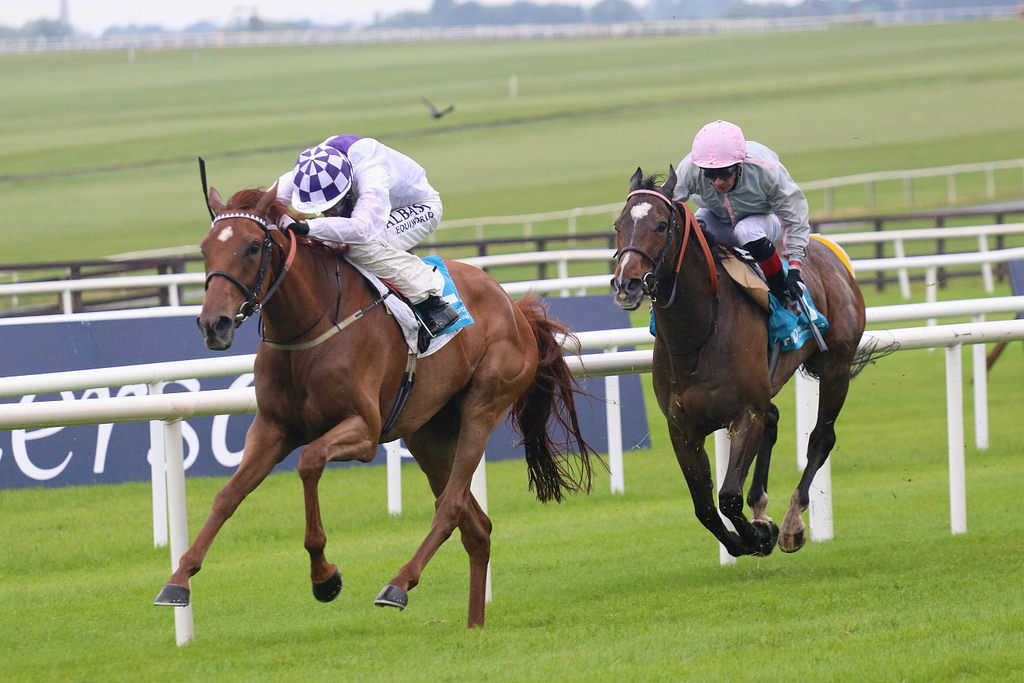 curragh