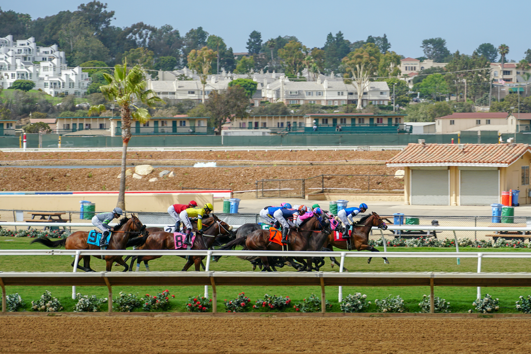 Del Mar Opening Day 2026