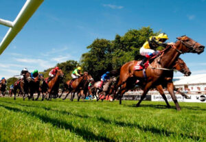 newmarket