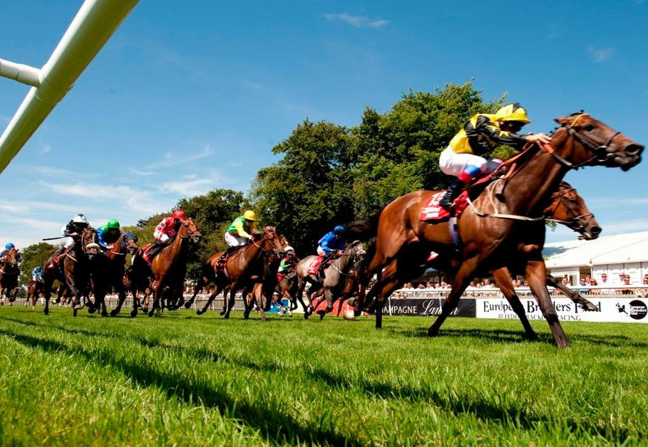 newmarket