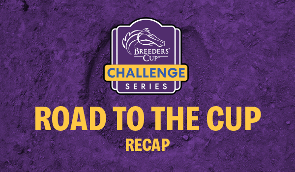 Breeders Cup Recap