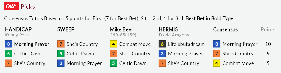 DRF Picks