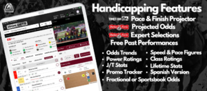 Handicapping Features at Iron Bets