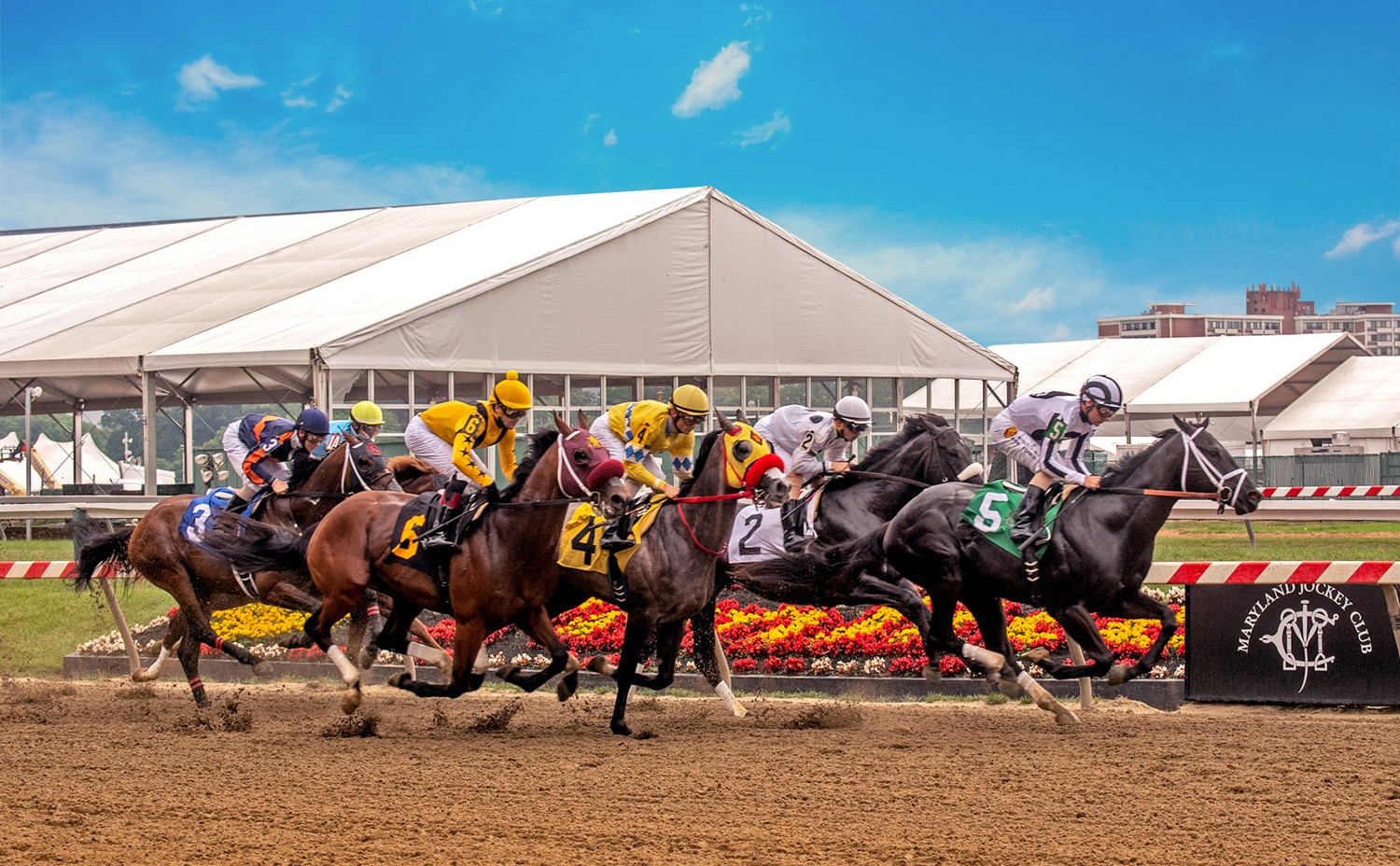 Preakness Stakes