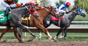 Delaware Handicap